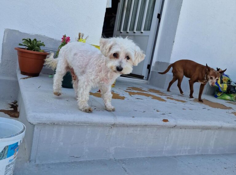 multimedia-foto88422-59-1