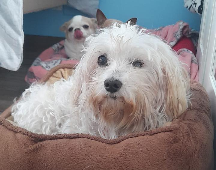 multimedia-foto88423-59-1