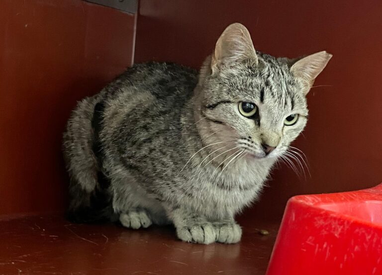 multimedia-foto88438-905-1