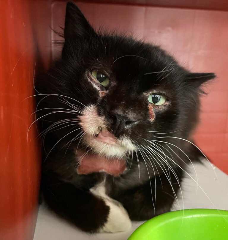 multimedia-foto88449-863-1