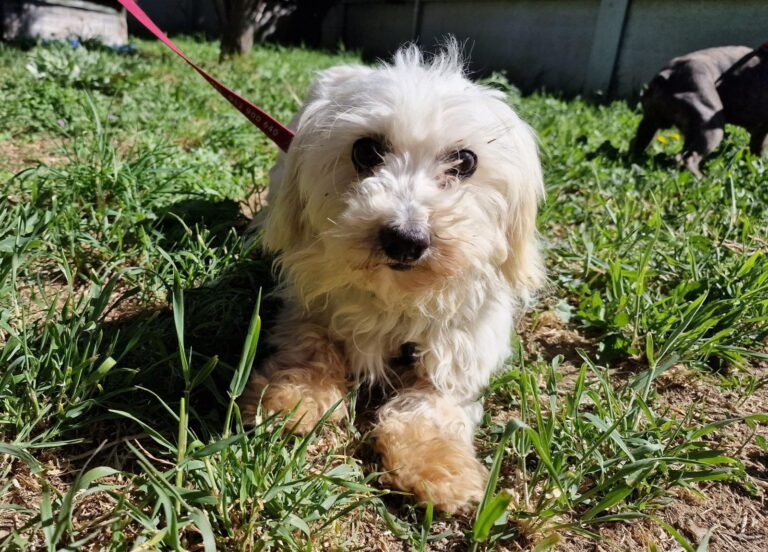 multimedia-foto88460-711-1