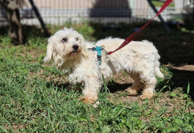 multimedia-foto88461-712-1