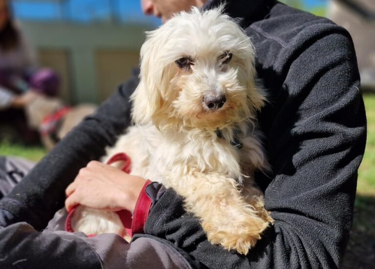 multimedia-foto88462-712-1