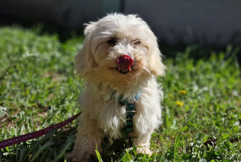 multimedia-foto88463-712-1