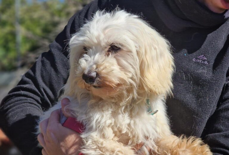 multimedia-foto88464-712-1