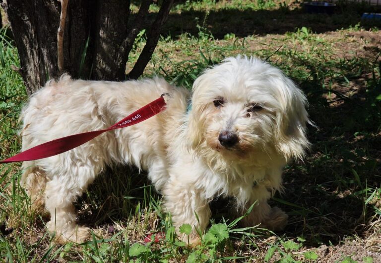 multimedia-foto88465-713-1