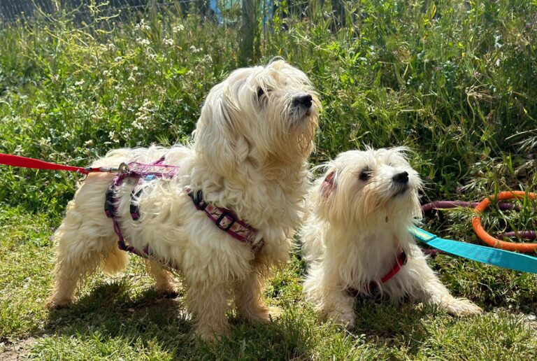 multimedia-foto88469-219-1