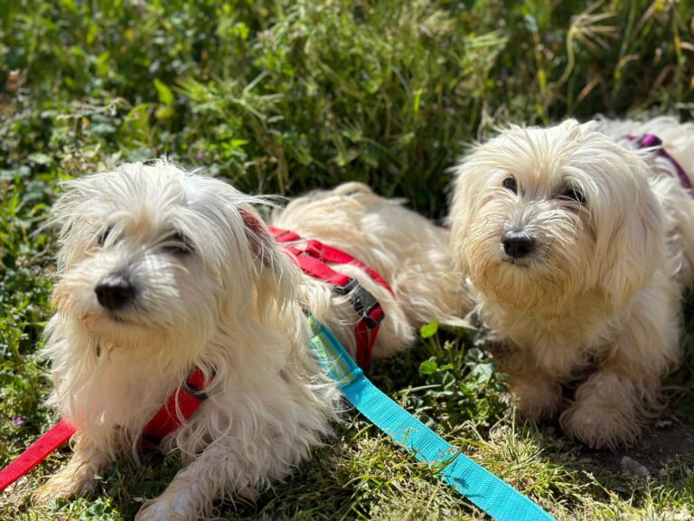 multimedia-foto88470-219-1