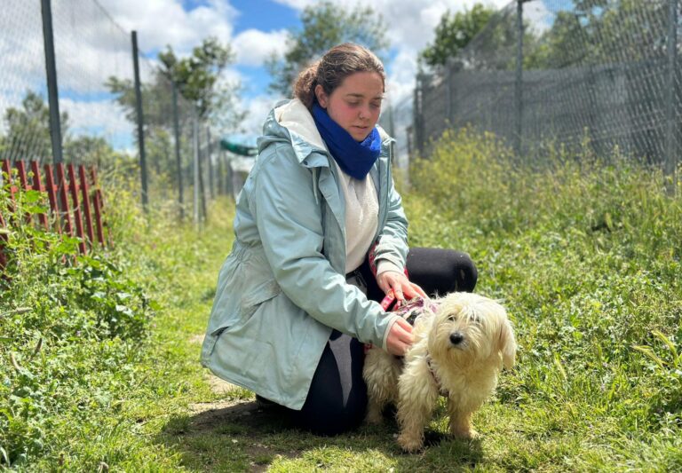 multimedia-foto88472-220-1