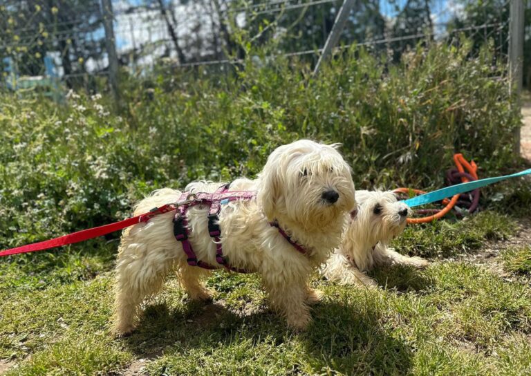 multimedia-foto88473-220-1