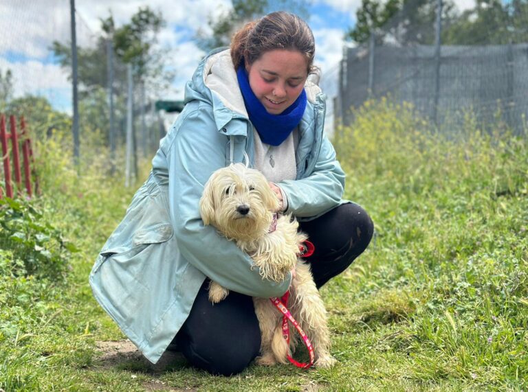 multimedia-foto88474-220-1