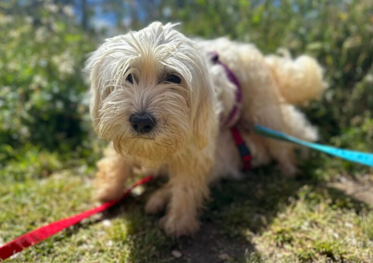 multimedia-foto88475-220-1