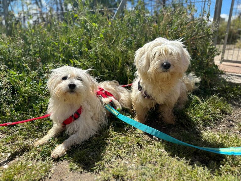 multimedia-foto88479-928-1