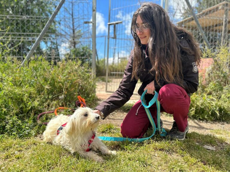 multimedia-foto88481-929-1