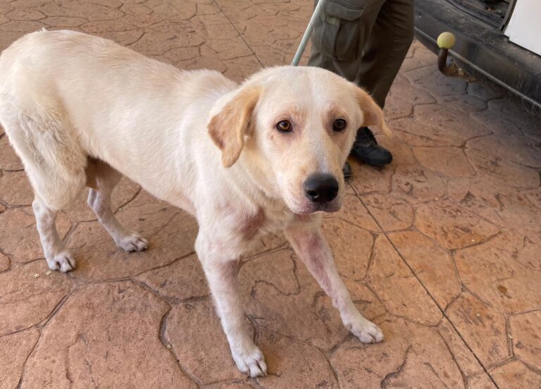 multimedia-foto88486-494-1