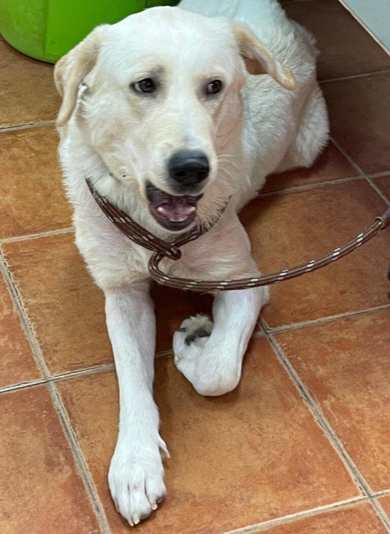 multimedia-foto88487-495-1