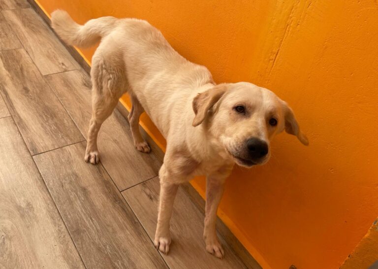 multimedia-foto88488-495-1