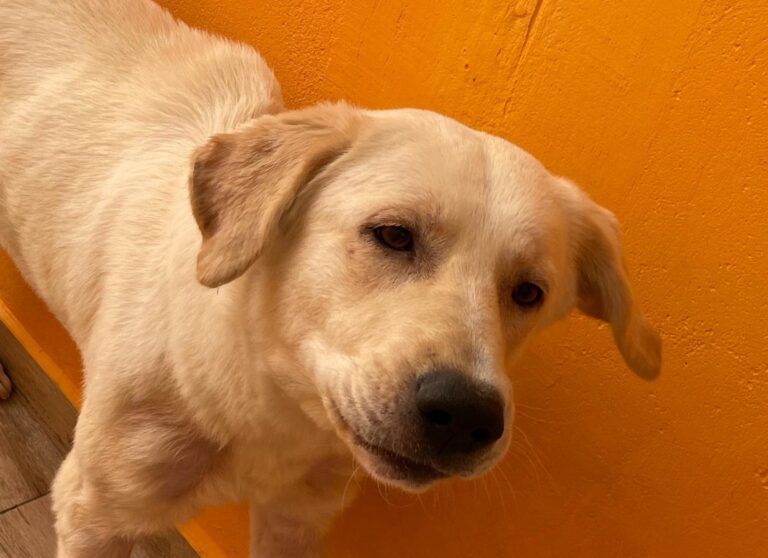 multimedia-foto88489-495-1