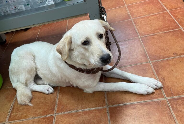 multimedia-foto88490-496-1