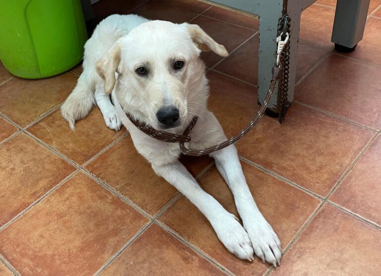 multimedia-foto88491-496-1