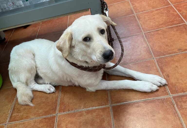 multimedia-foto88492-496-1