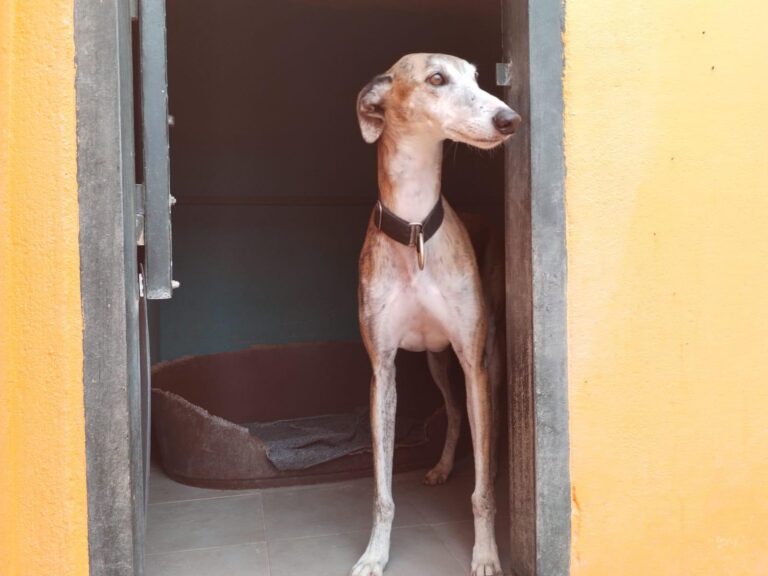 multimedia-foto88494-538-1