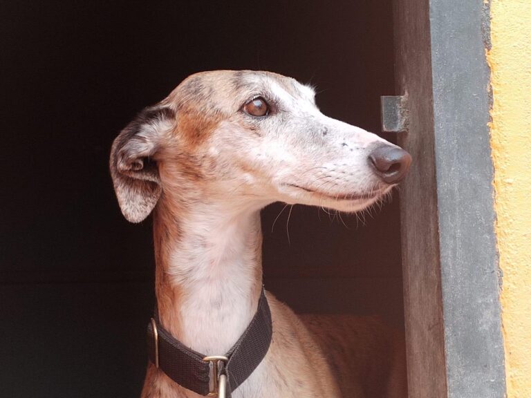 multimedia-foto88495-538-1