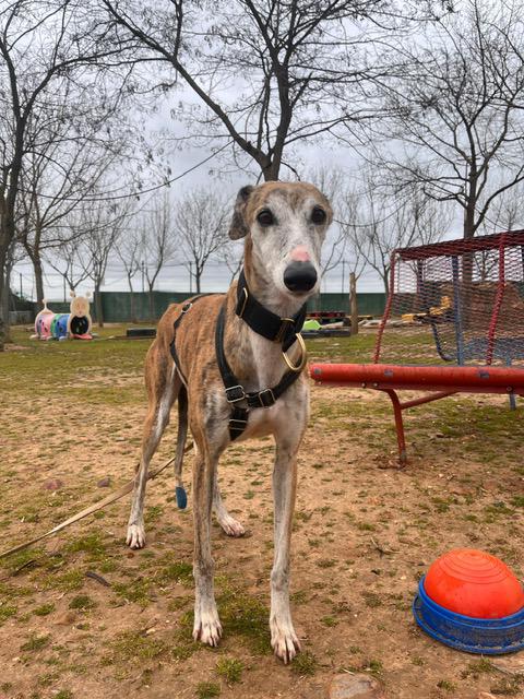 multimedia-foto88498-539-1