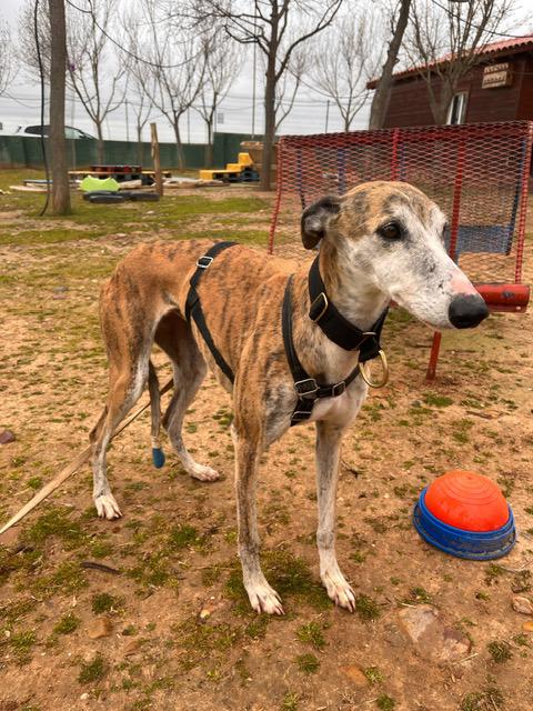 multimedia-foto88499-539-1