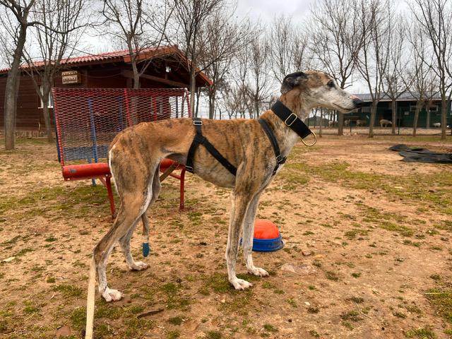 multimedia-foto88500-539-1