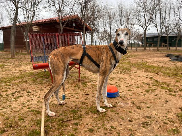 multimedia-foto88501-539-1