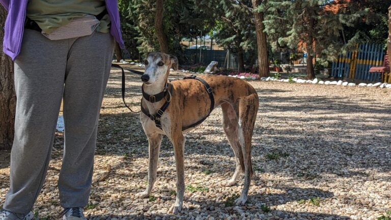 multimedia-foto88507-905-1