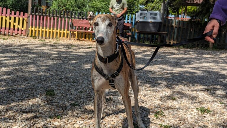 multimedia-foto88508-906-1