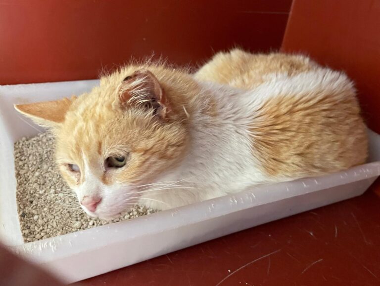 multimedia-foto88513-16-3