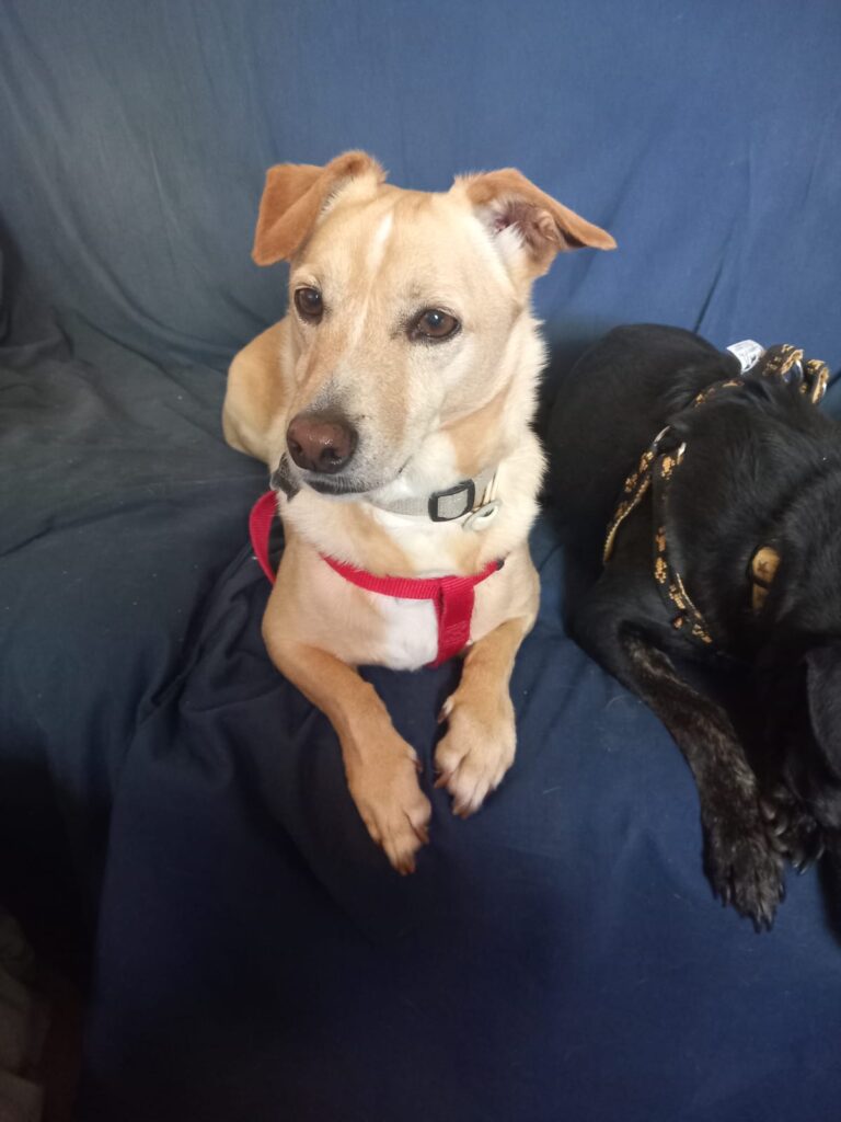 multimedia-foto88539-229-1