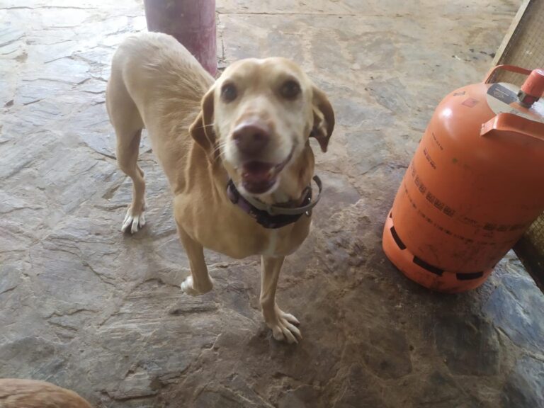 multimedia-foto88540-229-1