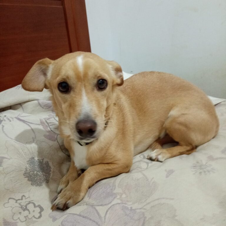 multimedia-foto88542-230-1