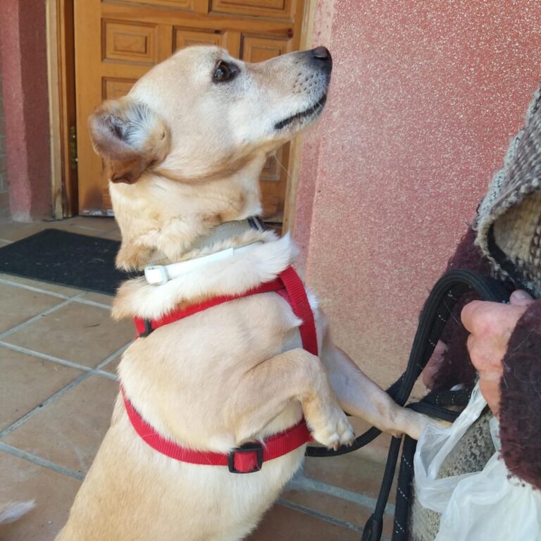 multimedia-foto88612-504-1