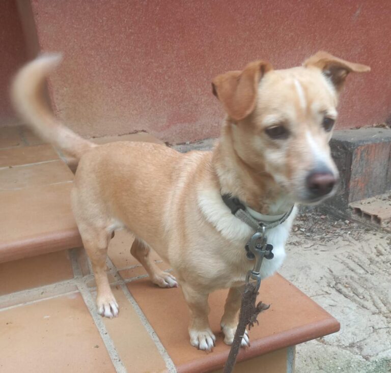 multimedia-foto88613-504-1