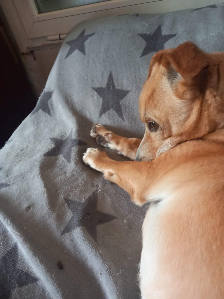 multimedia-foto88614-505-1