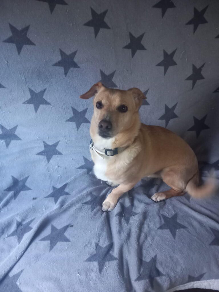 multimedia-foto88615-505-1