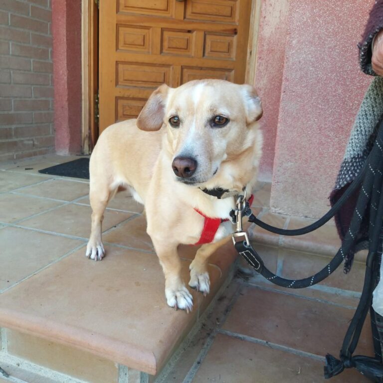 multimedia-foto88616-505-1