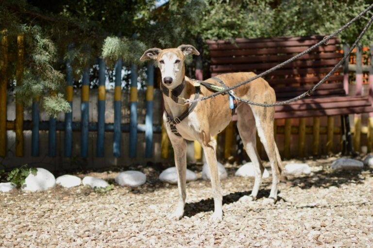 multimedia-foto88624-412-1