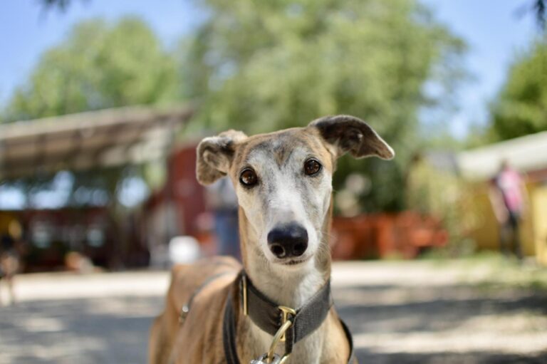 multimedia-foto88625-412-1