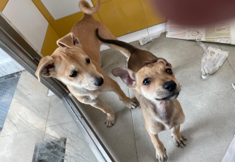 multimedia-foto88629-428-1