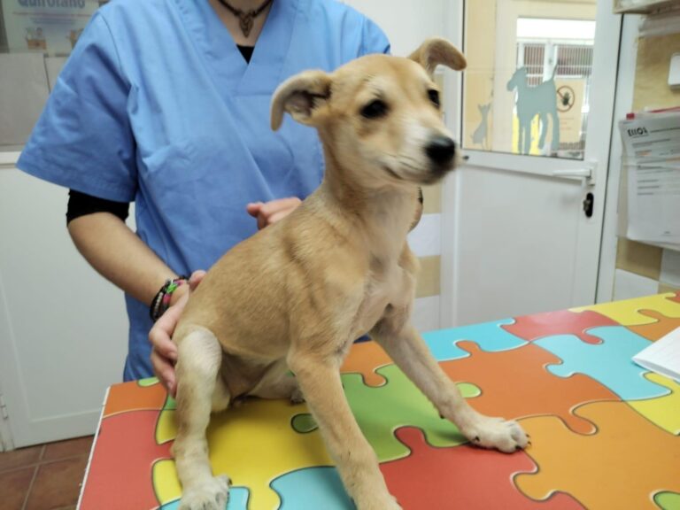 multimedia-foto88630-429-1