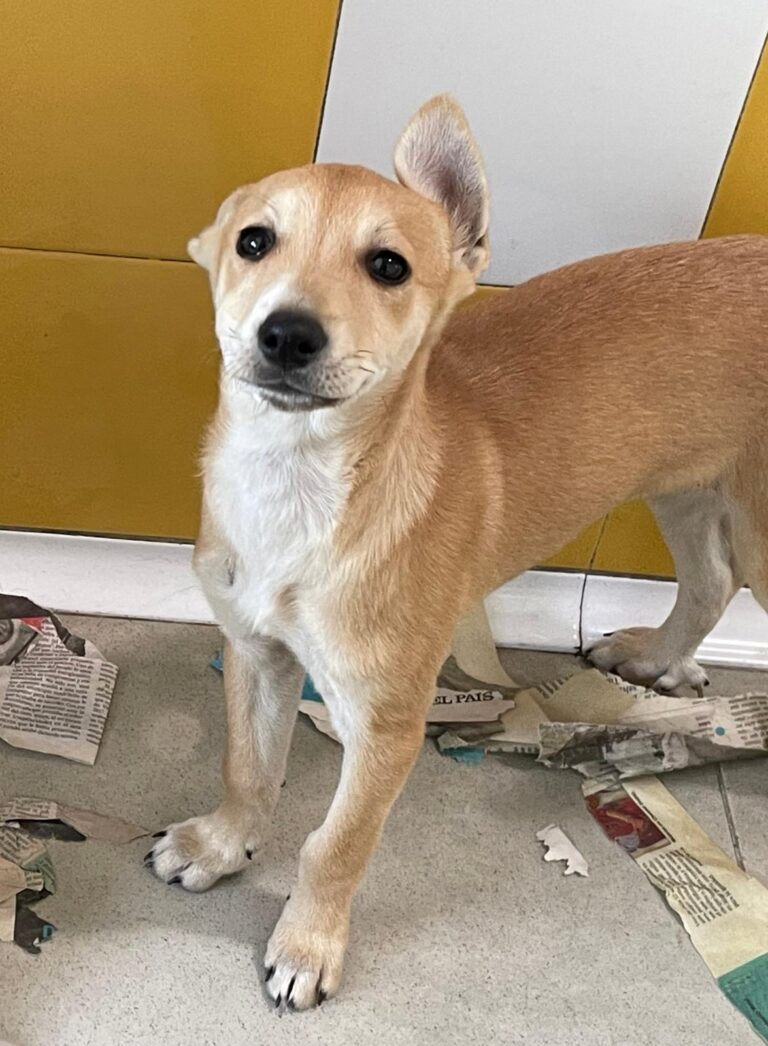 multimedia-foto88632-429-1