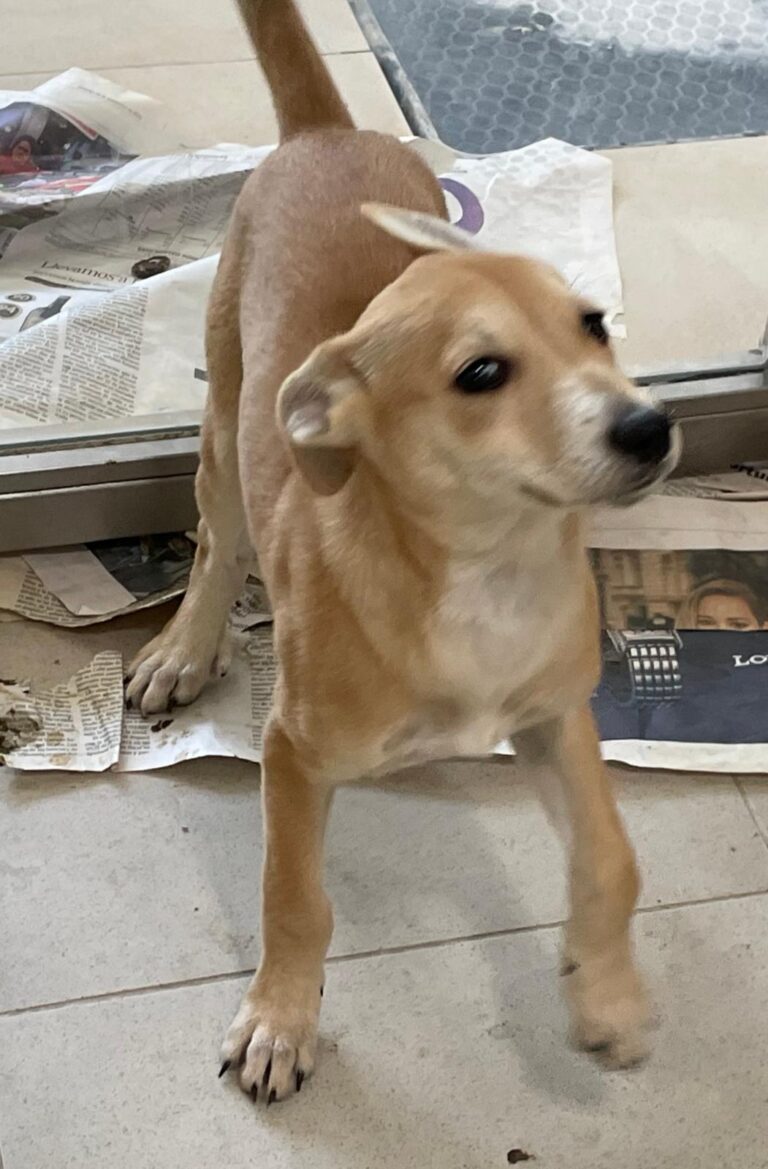 multimedia-foto88633-429-1