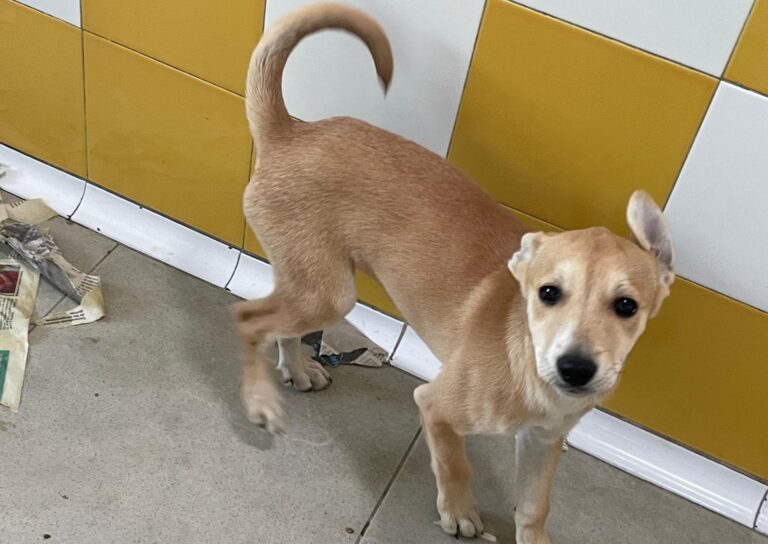 multimedia-foto88634-430-1