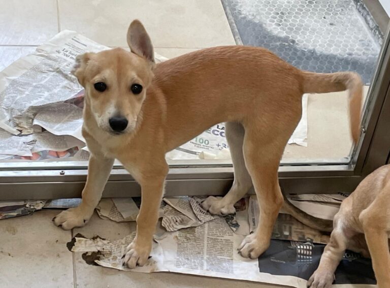 multimedia-foto88635-430-1